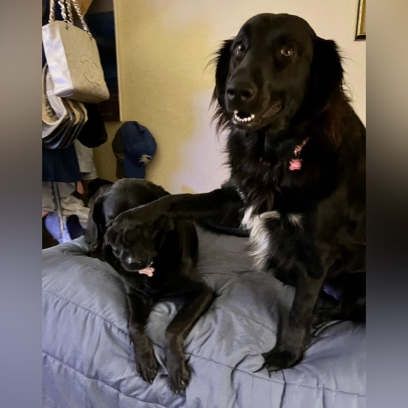 Ketaj21 and Harrisonketahub Live Shows!!! - Picture 10 of 16